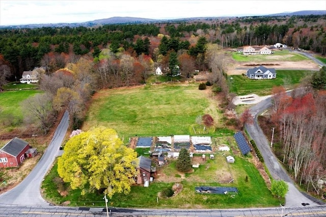 drone / aerial view with a forest view