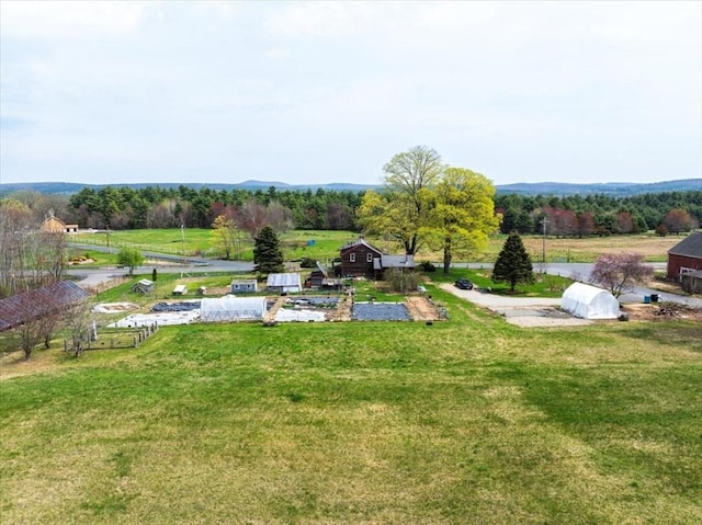 view of yard featuring a rural view