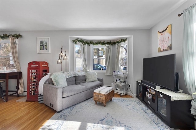 living area with wood finished floors