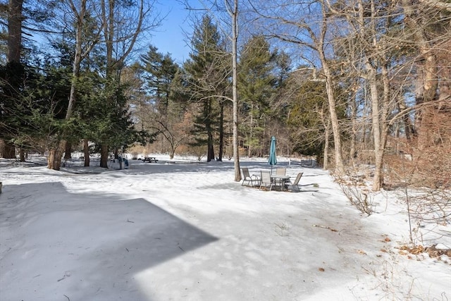 view of yard covered in snow