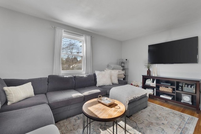 living area featuring wood finished floors