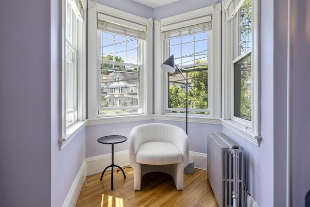1 Murdock Ter, Boston, MA 02135 - sitting room with radiator, healthy amount of natural light, and wood finished floors