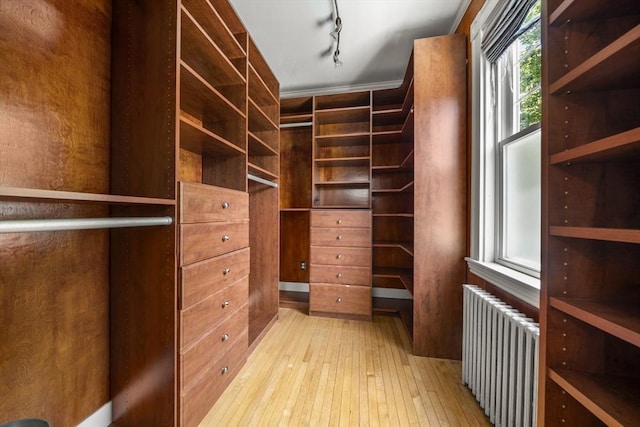 1 Murdock Ter, Boston, MA 02135 - walk in closet with radiator and light wood finished floors