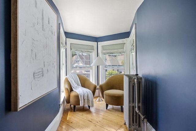 1 Murdock Ter, Boston, MA 02135 - living area with light wood-style flooring and radiator