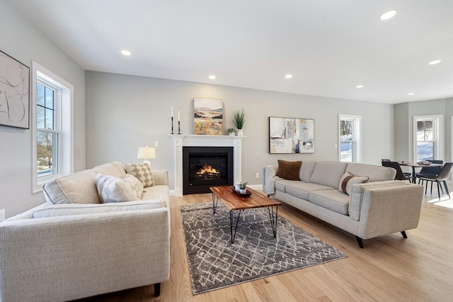 living room featuring light wood-type flooring and a wealth of natural light