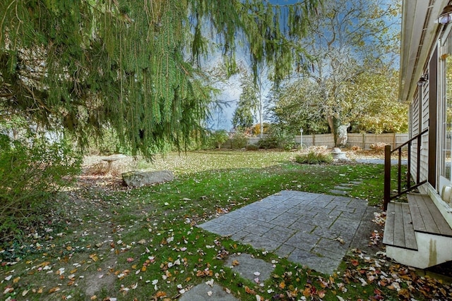 view of yard with a patio area