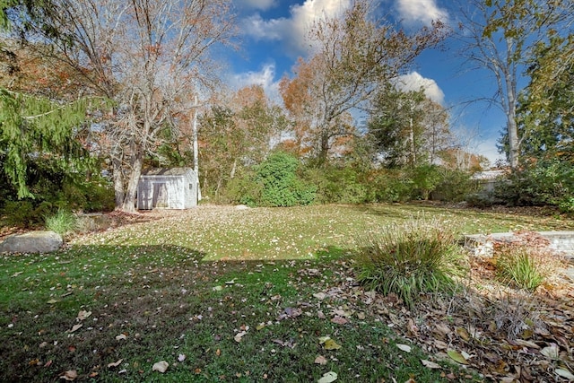 view of yard with a shed