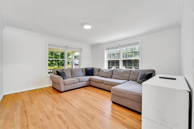 47 Fenwick Cir, Methuen, MA 01844 - living area with ornamental molding and light wood-style flooring