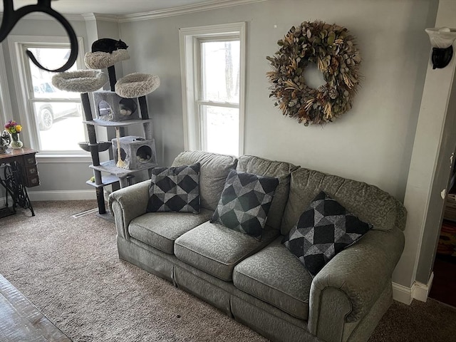 living area featuring baseboards, crown molding, and carpet