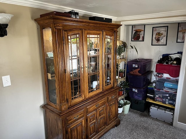 interior space featuring crown molding and carpet floors