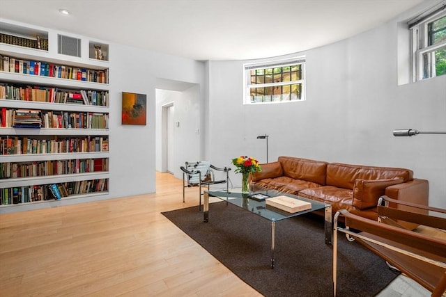175 Commonwealth Ave Unit A, Boston, MA 02116 - living room featuring wood finished floors
