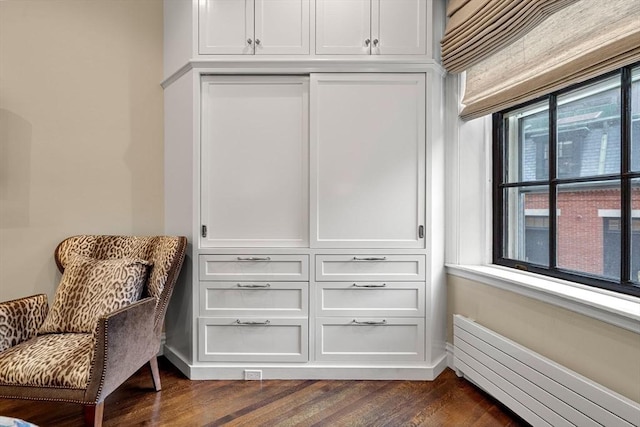 closet with a baseboard radiator