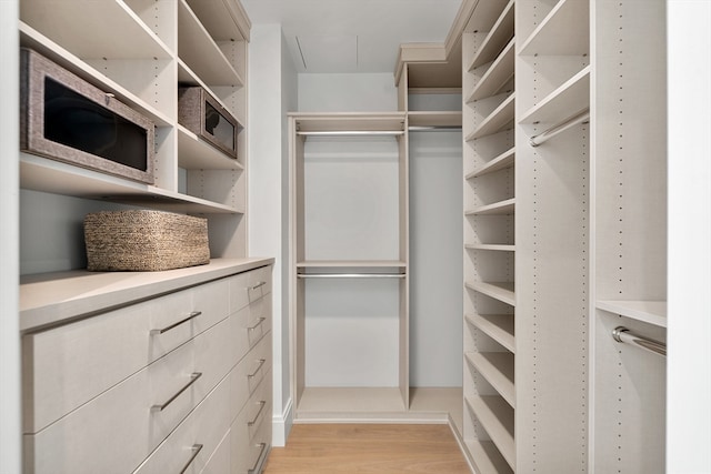 spacious closet featuring light hardwood / wood-style flooring