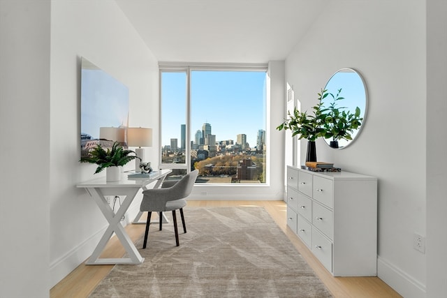 office area featuring light hardwood / wood-style flooring