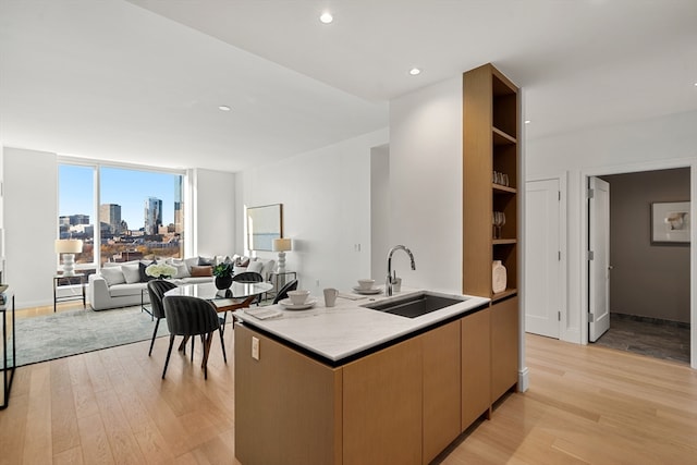 kitchen featuring sink and light hardwood / wood-style flooring