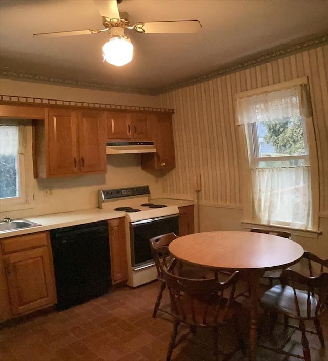 kitchen featuring sink, dishwasher, white electric range, ceiling fan, and crown molding