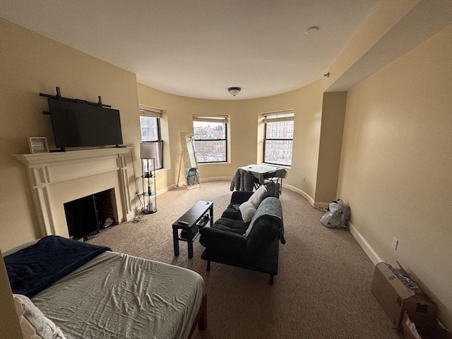 view of carpeted living room