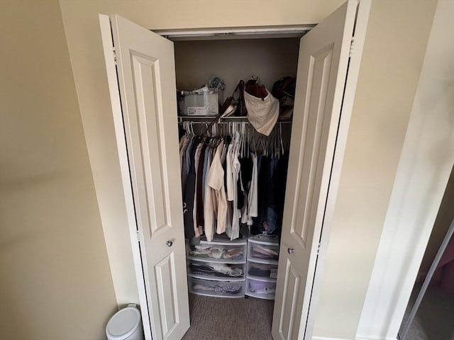 view of closet