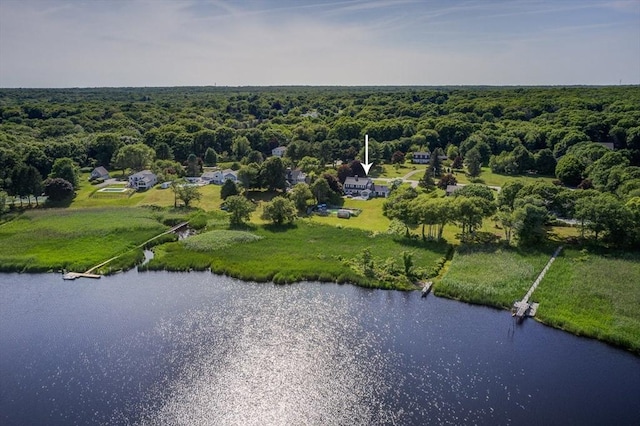 47 Fallon Dr, Westport, MA 02790 - bird's eye view of a forest and a nearby body of water