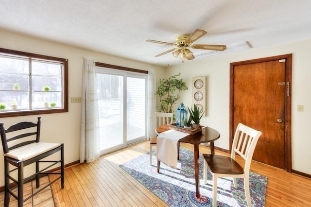 dining room with ceiling fan, a healthy amount of sunlight, and light hardwood / wood-style floors