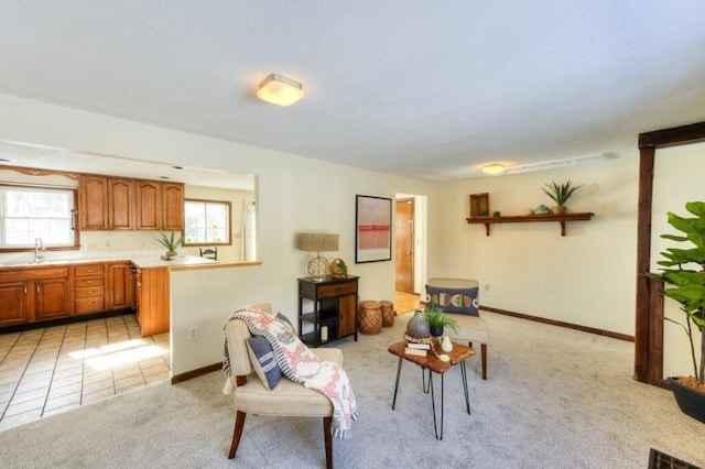 living room featuring sink and light carpet