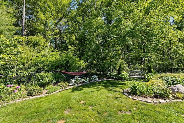 7 Stoney Hill Rd, Mattapoisett, MA 02739 - view of yard