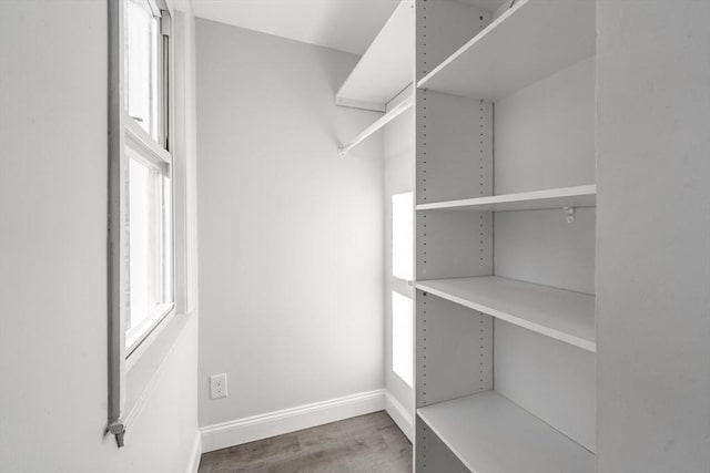 spacious closet featuring wood-type flooring