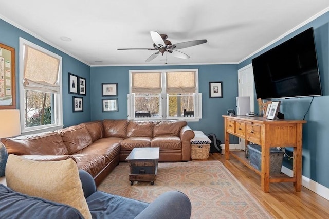 living room with hardwood / wood-style flooring, crown molding, and ceiling fan