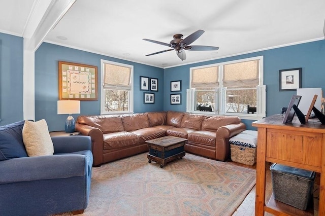 living room with ornamental molding, ceiling fan, and light hardwood / wood-style floors