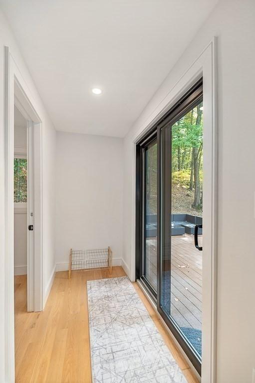 doorway with light hardwood / wood-style floors and a healthy amount of sunlight