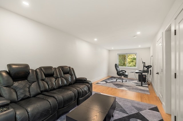 living room featuring light hardwood / wood-style floors