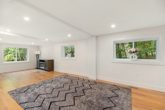 living room with wood-type flooring