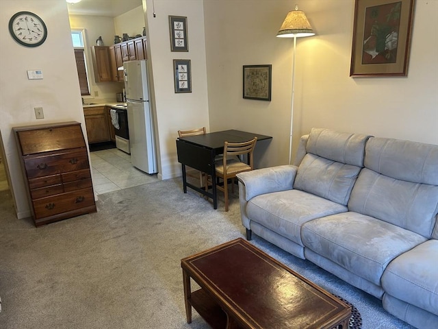 living room featuring light colored carpet