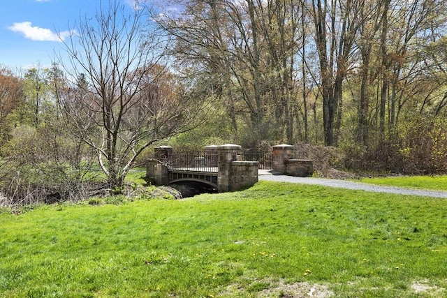 view of green lawn