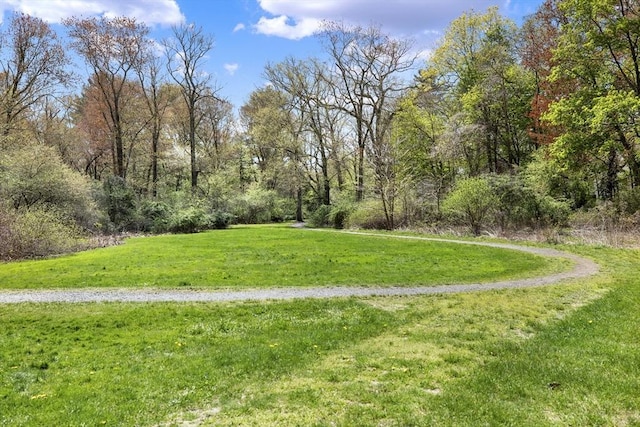 view of grassy yard