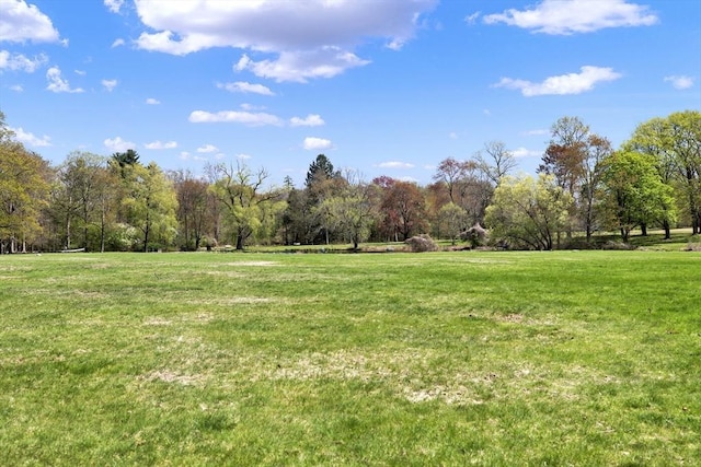 view of green lawn with a forest view