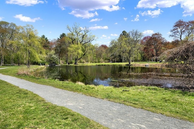 view of home's community with a water view, a forest view, and a yard