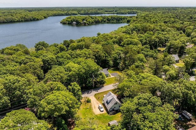 42 Beechwood Dr, Mashpee, MA 02649 - drone / aerial view of a heavily wooded area and a nearby body of water