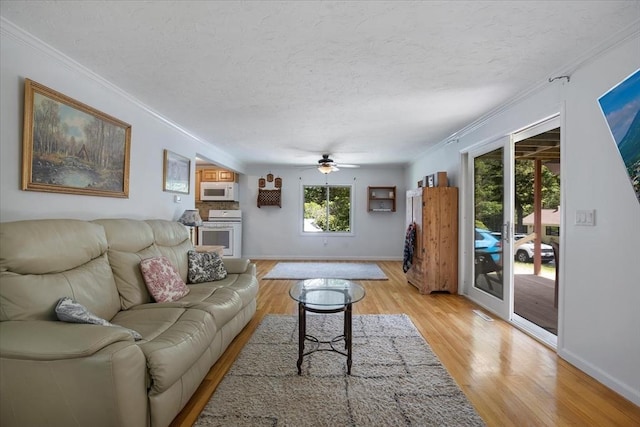 42 Beechwood Dr, Mashpee, MA 02649 - living area featuring ornamental molding, light wood finished floors, ceiling fan, and a textured ceiling