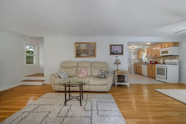42 Beechwood Dr, Mashpee, MA 02649 - living room featuring crown molding and light wood-style floors