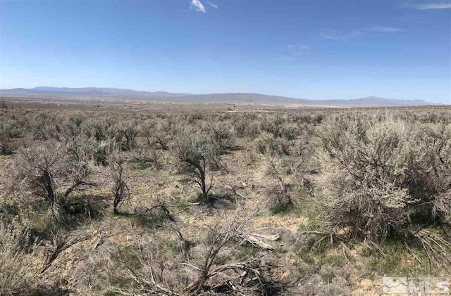 12455 Beaumont Trl, Lovelock NV, 89419 land for sale