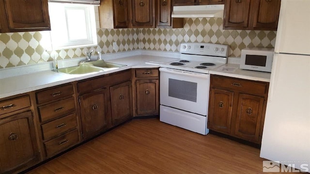 kitchen with backsplash, white appliances, light hardwood / wood-style flooring, and sink