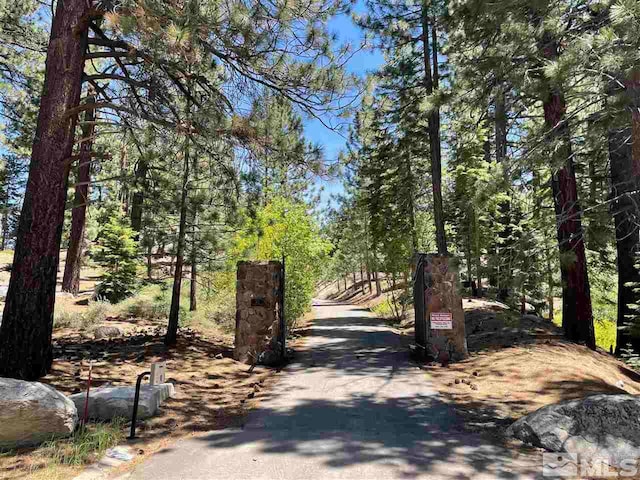 175 Granite Springs Ests, Stateline NV, 89449 land for sale