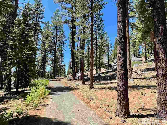 Listing photo 3 for 175 Granite Springs Ests, Stateline NV 89449