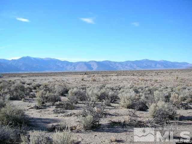 325 Ludwig, Smith NV, 89430 land for sale