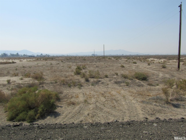 ParA Pete Henrichs, Yerington NV, 89447 land for sale