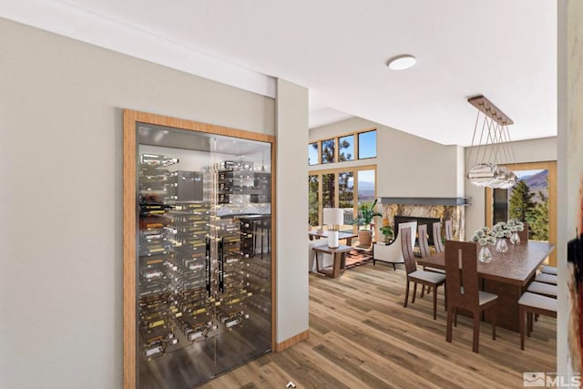 interior space featuring light wood-type flooring and a multi sided fireplace