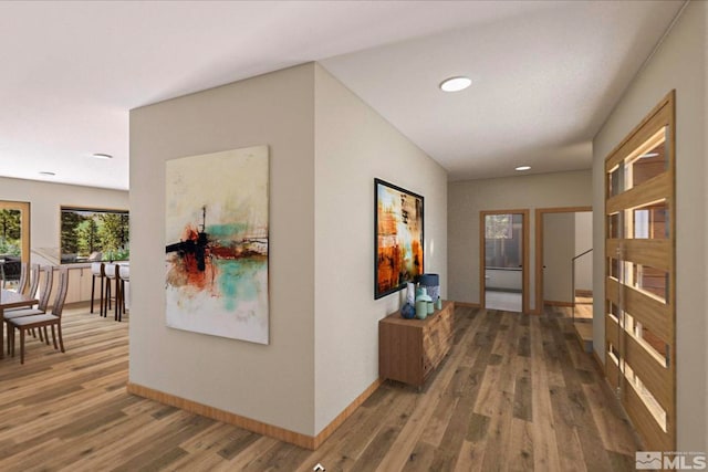 hallway featuring dark wood-type flooring