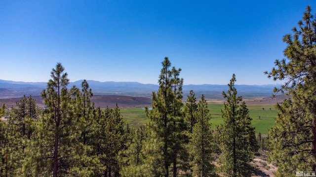 view of mountain view