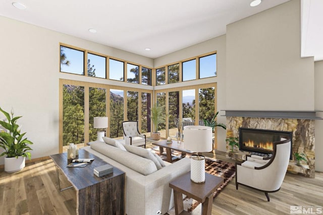 living room featuring a high ceiling and light hardwood / wood-style floors